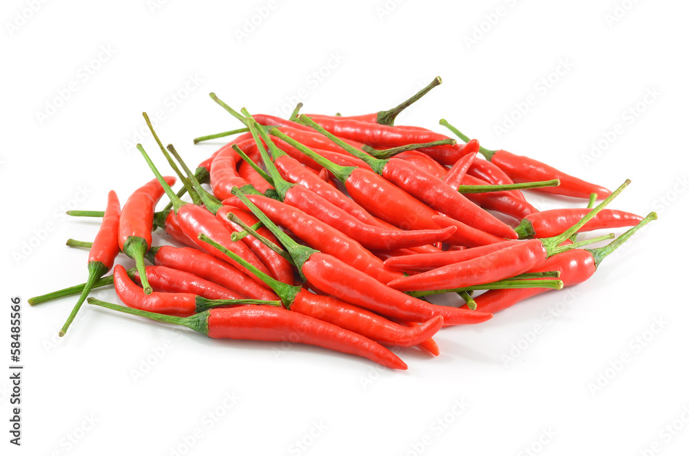 Hot red chili or chilli pepper isolated on white background.