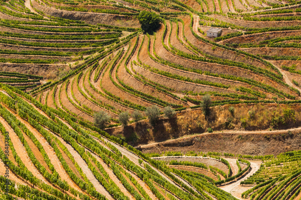 Portugal, vallée du Douro