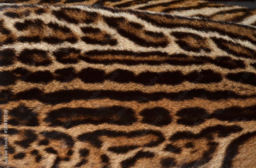 ocelot fur pattern ocelot fur pattern