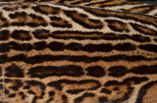 Obraz na plátně ocelot fur pattern