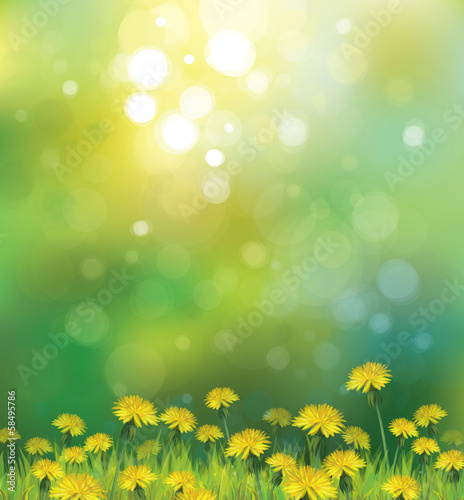 Vector of spring background with yellow dandelions.