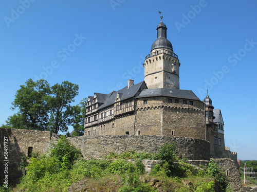 Burg Falkenstein(Harz)