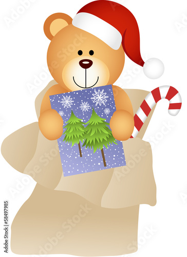 Teddy Bear in Mailbag Christmas