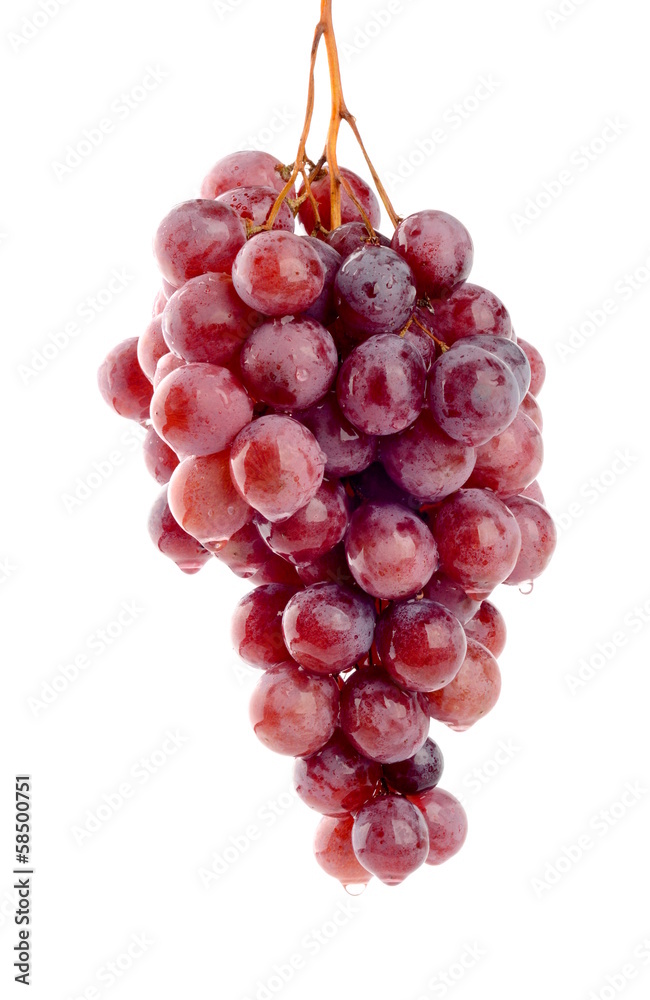 Bunch of red grapes Bunch of red grapes