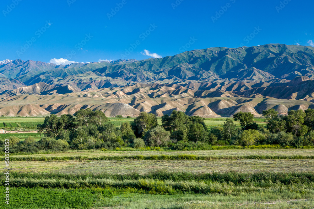Fototapeta premium Bald mountains in Kyrgyzstan