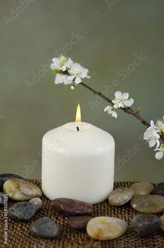 Zen rock and beautiful spring flower on mat