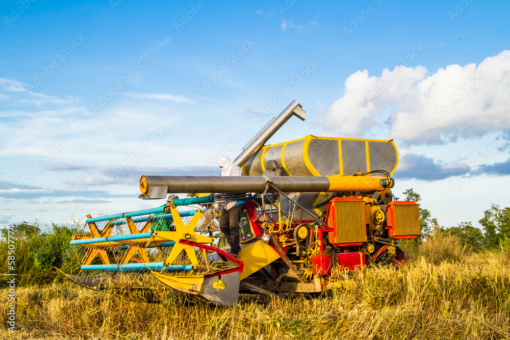 Fototapeta premium Harvest vehicle