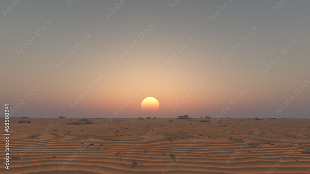 Obraz premium 砂漠
