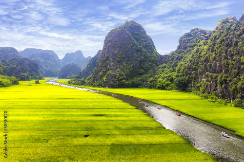 Fotografering Rice field and river, NinhBinh, vietnam landscapes