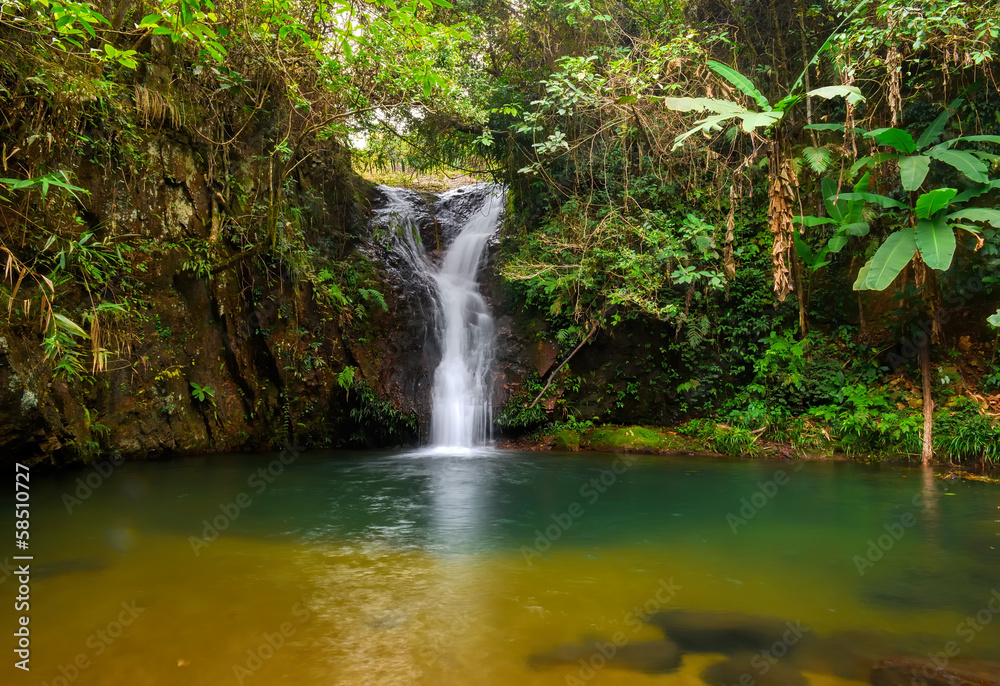 rain forest waterfall