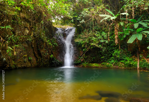 rain forest waterfall