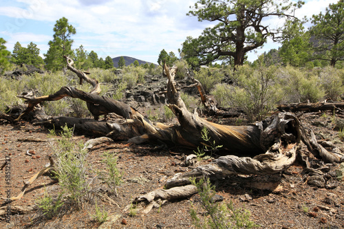 volcan Sunset crater