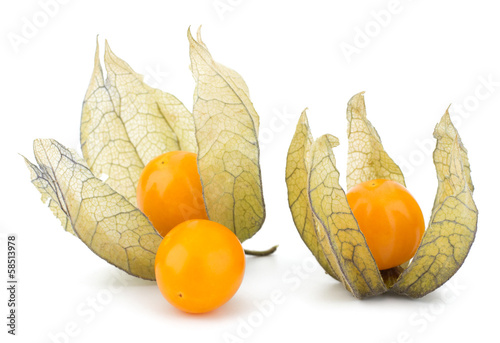 Physalis fruit isolated on white background