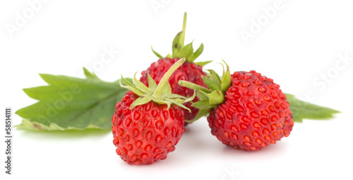 Wild strawberry isolated on white background