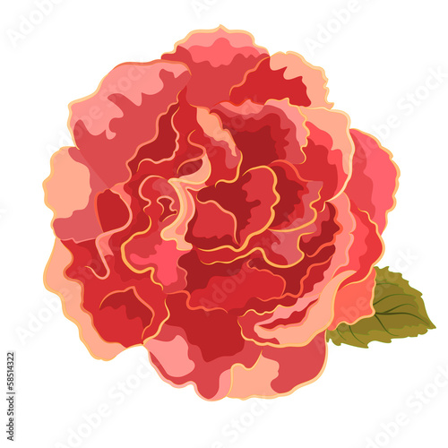roses orange simple