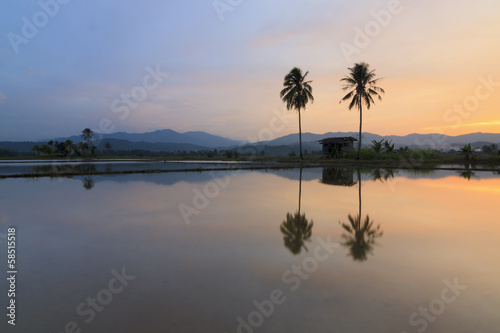 Harmonic reflection of sunset at Sabah  Borneo  Malaysia
