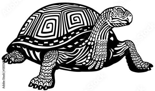 turtle black white