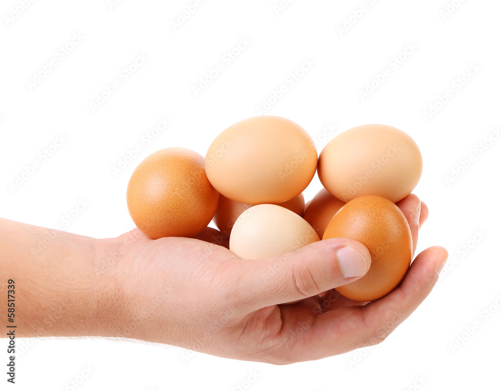 Hand holding brown eggs