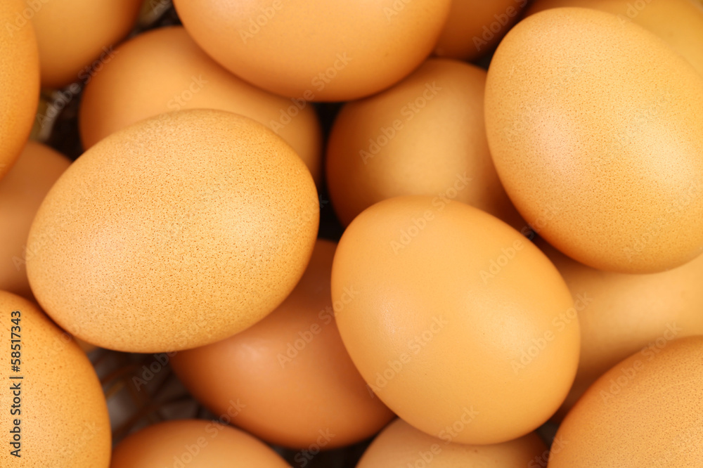 Close up of many fresh eggs Close up of many fresh eggs