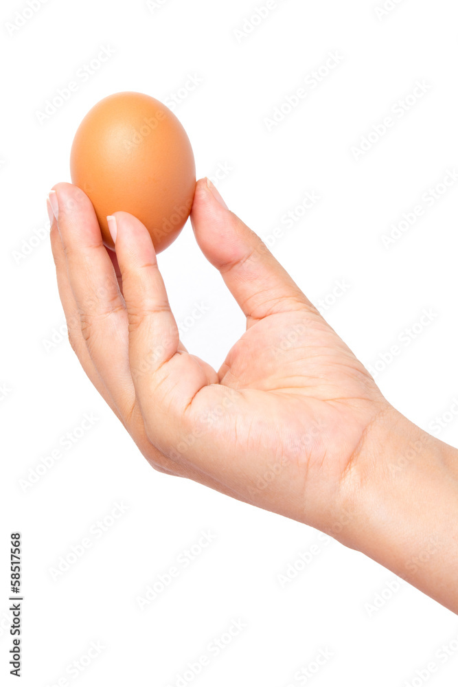 female hands bring egg isolated on white background female hands bring egg isolated on white background