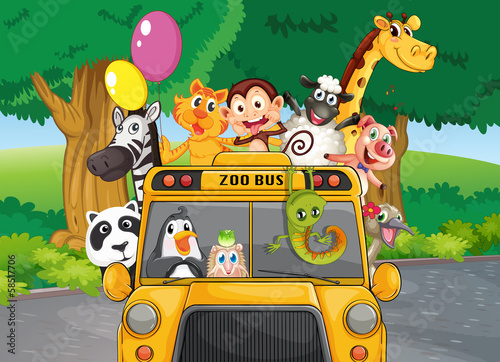 A zoo bus with animals
