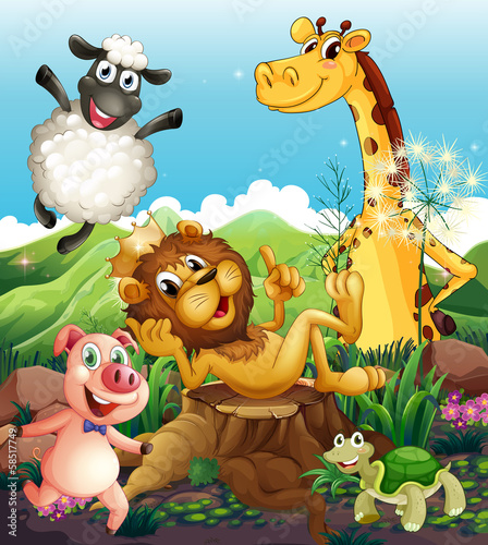 Playful animals