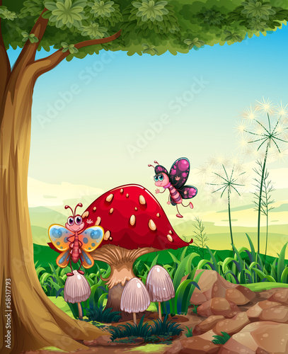 A big mushroom near the tree with butterflies