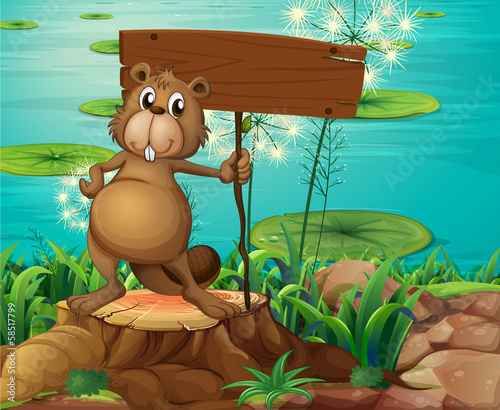 A beaver above the stump holding an empty signboard