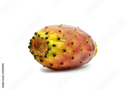 prickly pear on a white background