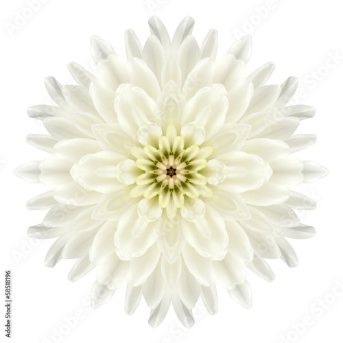 Fototapeta Naklejka Na Ścianę i Meble -  Chrysathemum Mandala Flower Kaleidoscopic Isolated on White