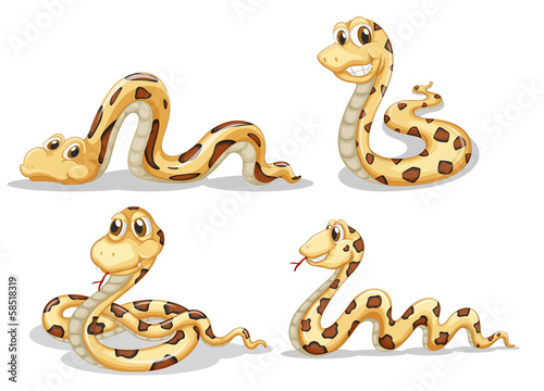 Four scary snakes © GraphicsRF