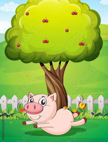 A playful pig under the cherry tree