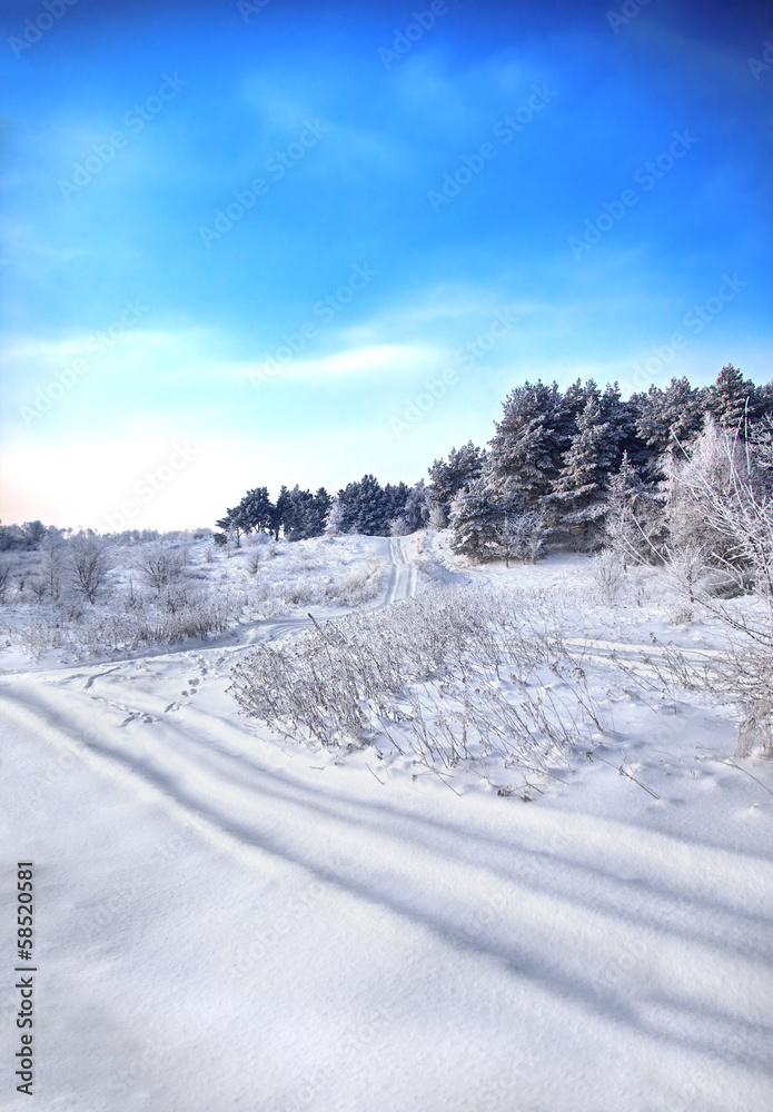 winter road