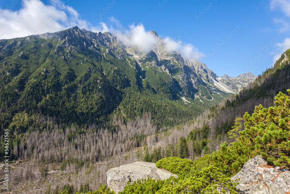 Beautiful view in the Tatra Mountains