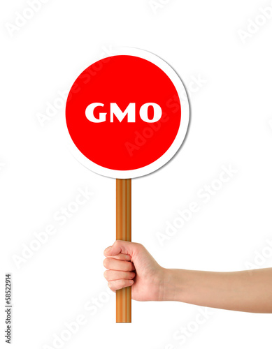 Hand holding red gmo warning sign