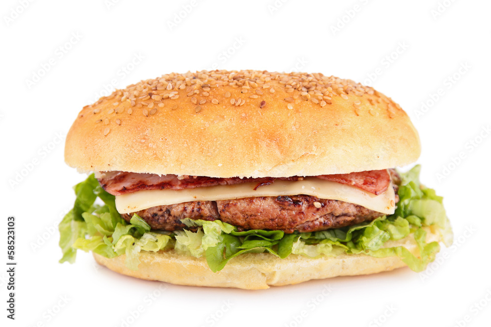 burger isolated burger isolated