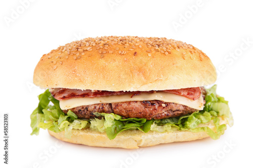 burger isolated