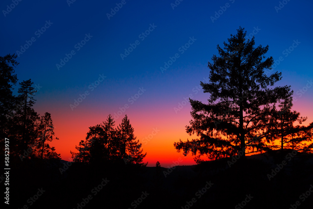 Sunset in Yosemite National Park with tree silhouettes
