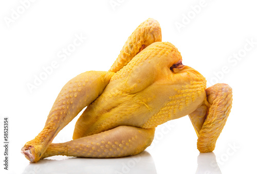 mister pollo