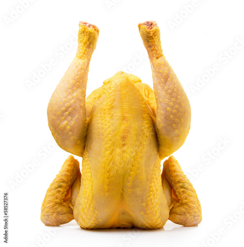 mister pollo photo