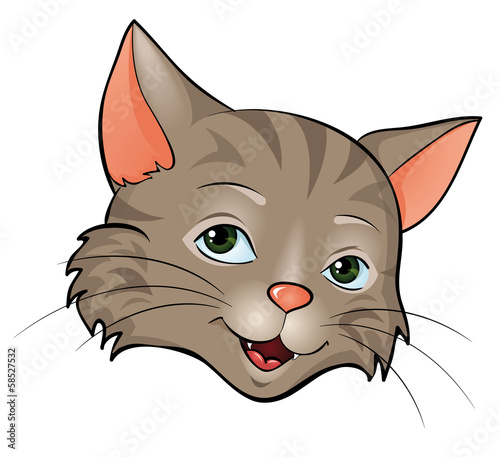 Wildkatze Kopf