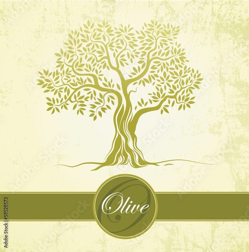 Olive tree on vintage paper. Olive oil.  For labels, pack.