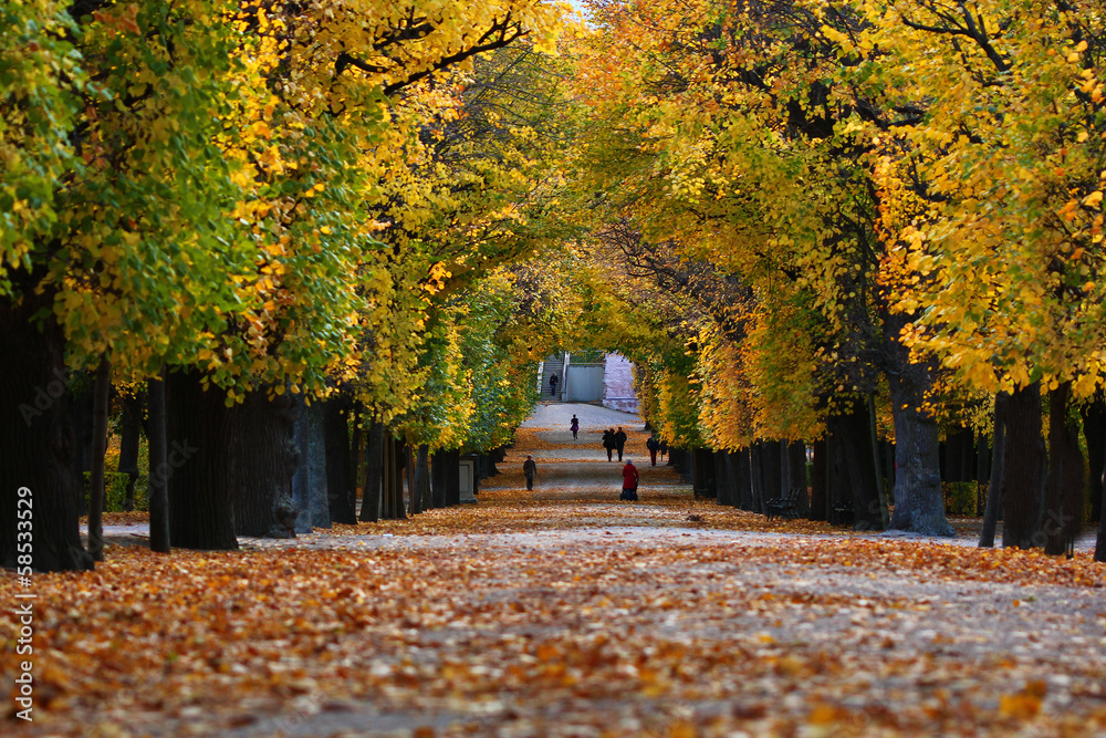Obraz premium Herbst Schönbrunn