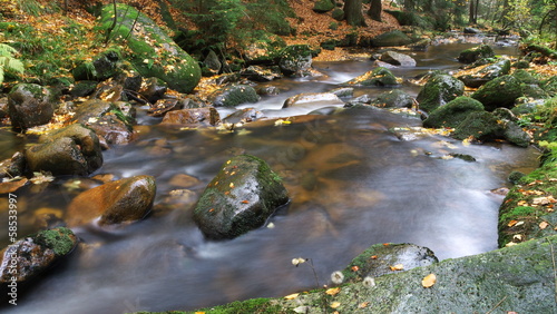 Die Kalte Bode im Harz