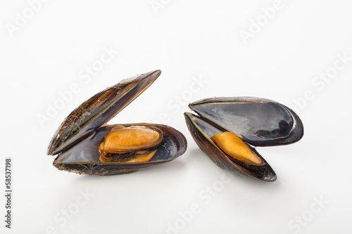 coocked mussels isolated over white
