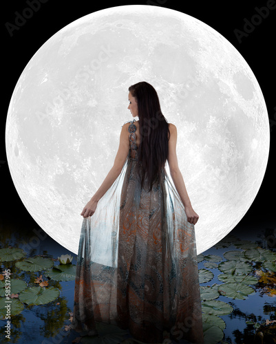 Obraz na plátne Water fairy walking into the moon
