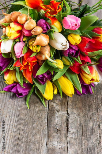 bouquet of fresh colorful spring tulips flowers