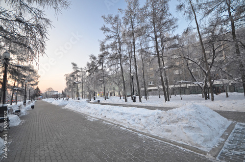 Foto Snow-covered alley in a winter park
