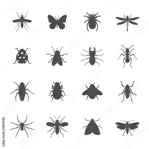 Insects icon set © missbobbit