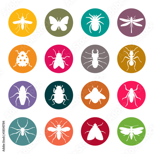 Insects icon set